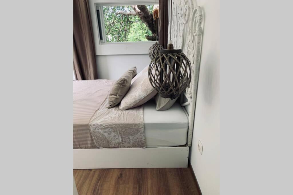סן-פייר La Caze Amoremieve Pour Un Sejour Cozy A St Pierre מראה חיצוני תמונה